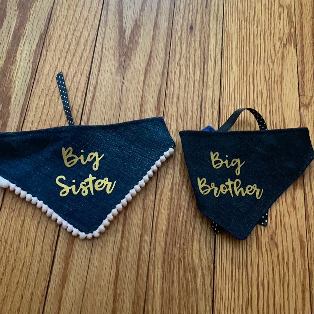 Cat or Small Dog Bandanas Big Brother Big Sister